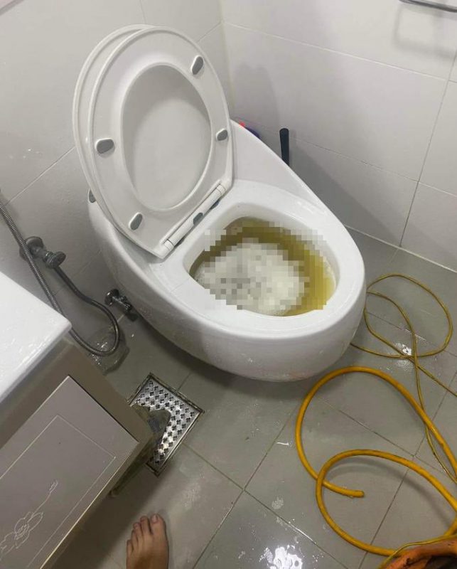 Vệ Sinh Môi Trường Miền Bắc