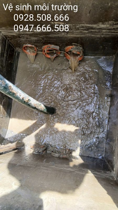 Vệ Sinh Môi Trường Miền Bắc